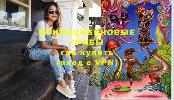 индика Тында